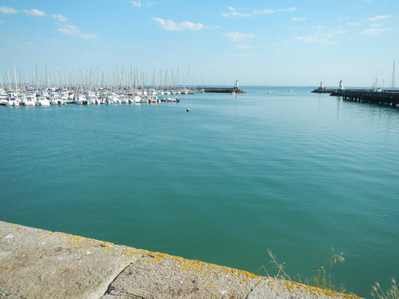 DSCN2357