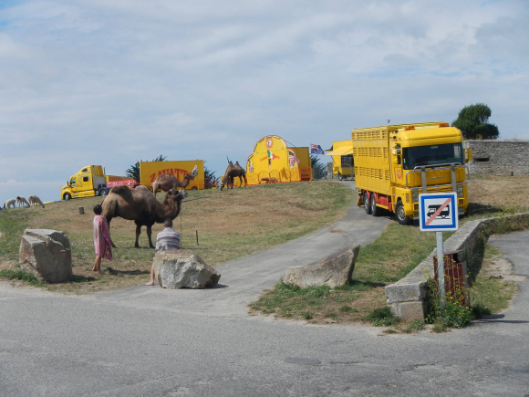 Cirque Zavatta à Quiberon