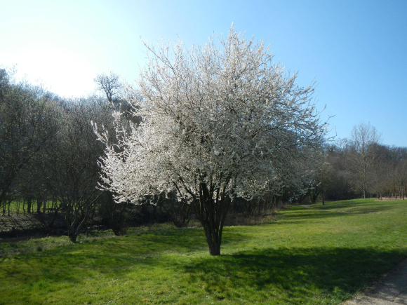 DSCN2963