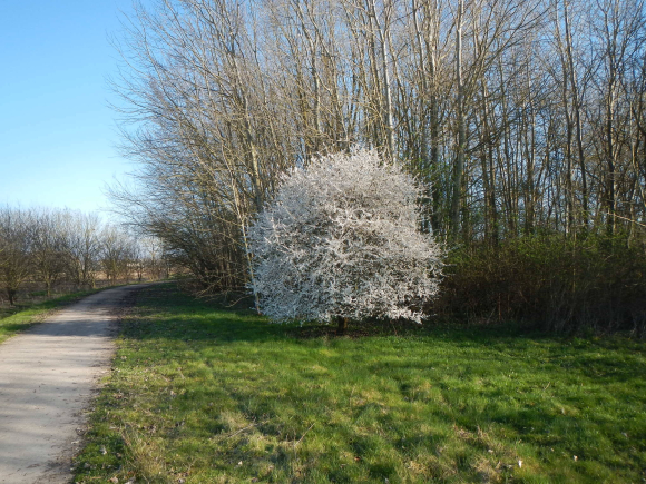 DSCN2986