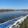 IMG_7244