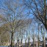 Tours - Amboise