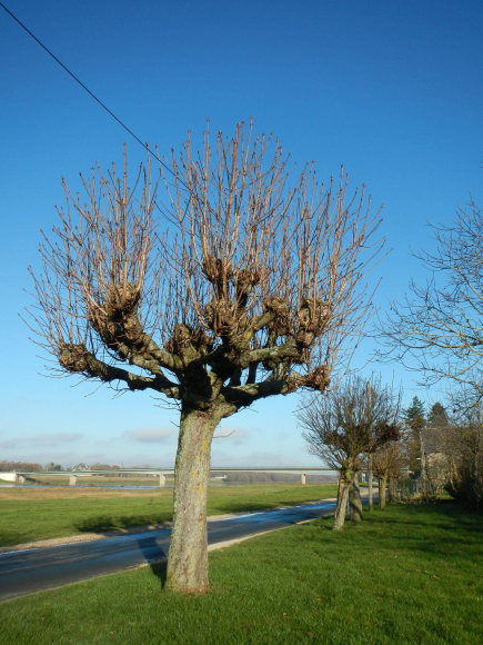 DSCN2877