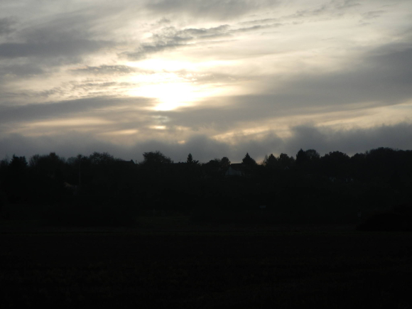 DSCN2884