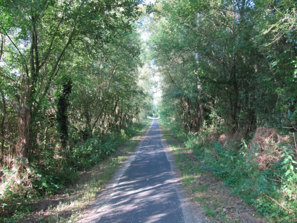 Piste ombragée