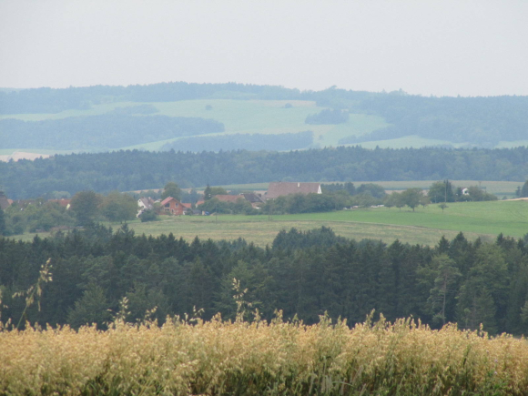img_0301