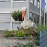 09-08-2009 (Hausen Im Tal - Riedheim), 14ème jour