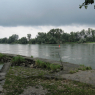 EuroVelo 6 (Tours - Vienne)