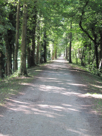 Canal latéral à la Loire