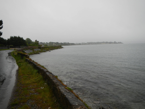 DSCN0225