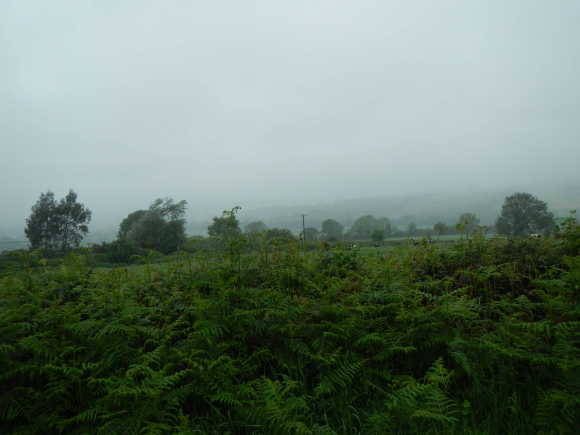 DSCN0232