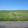 IMG_0570