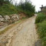 DSCN1489