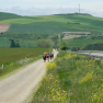 DSCN1546