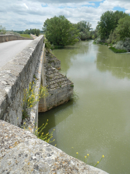 DSCN1603