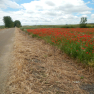 DSCN1607