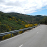 DSCN1758