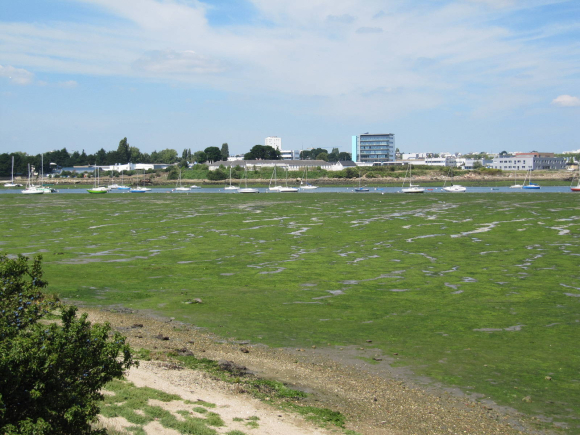 Lorient