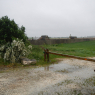 01-05-2015 (Dompierre-sur-Mer - Le Verdon-sur-Mer), 1er jour