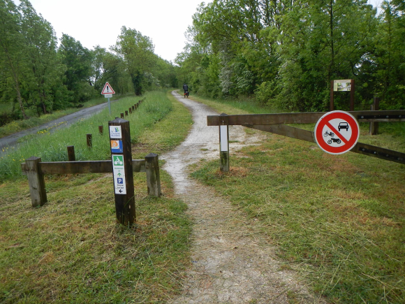 DSCN3160