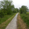 DSCN3164