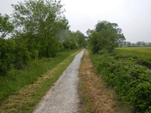 DSCN3164