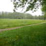 DSCN3174