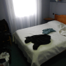 DSCN3191