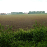 DSCN3292
