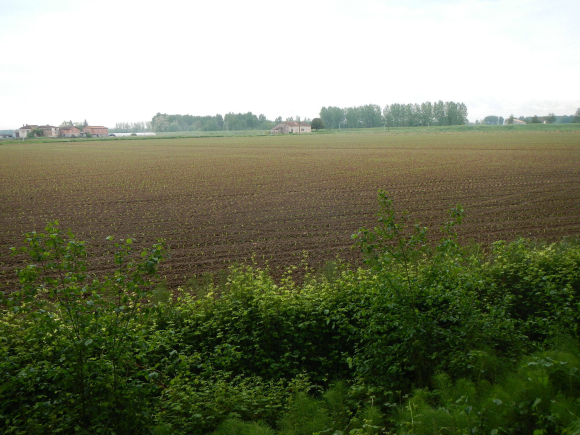 DSCN3292