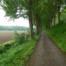 DSCN3293