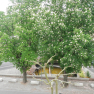 DSCN3385