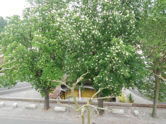 DSCN3385