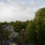 DSCN3393