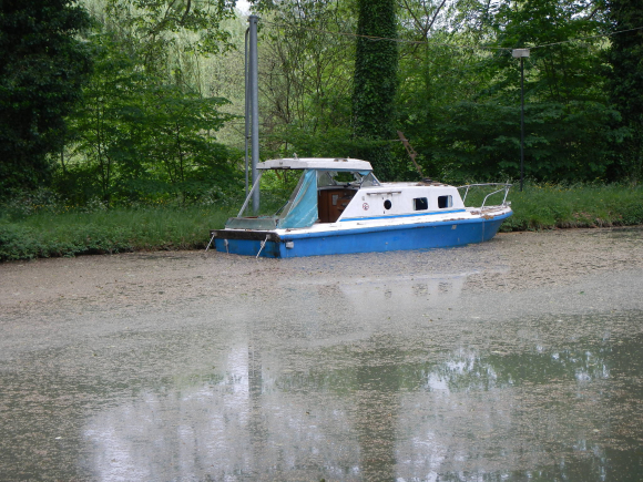 DSCN3400