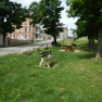 DSCN3432