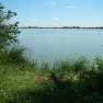 DSCN3466