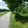 DSCN3478