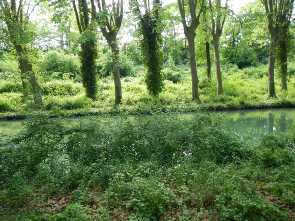 DSCN3486