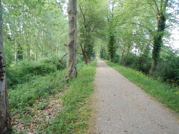 DSCN3487