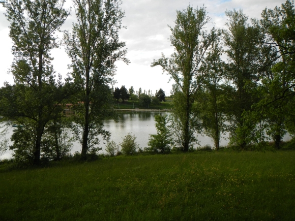 DSCN3500