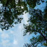 DSCN3521