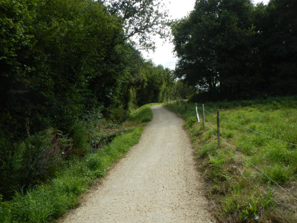 DSCN3676