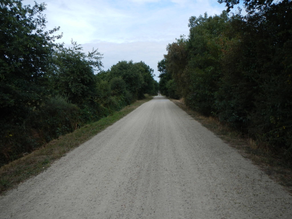 DSCN3681