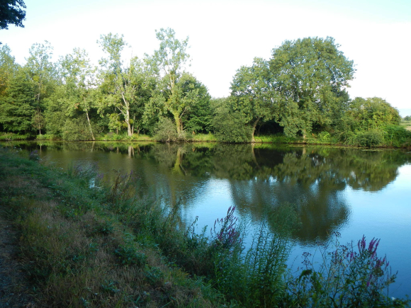 DSCN3750