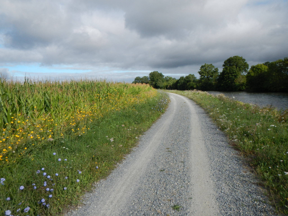 DSCN3753