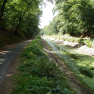 DSCN3796