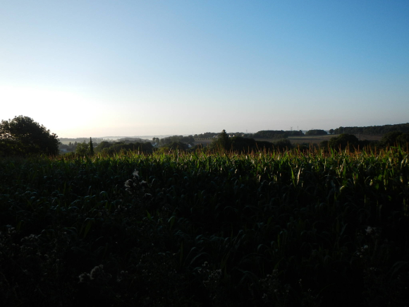 DSCN3812