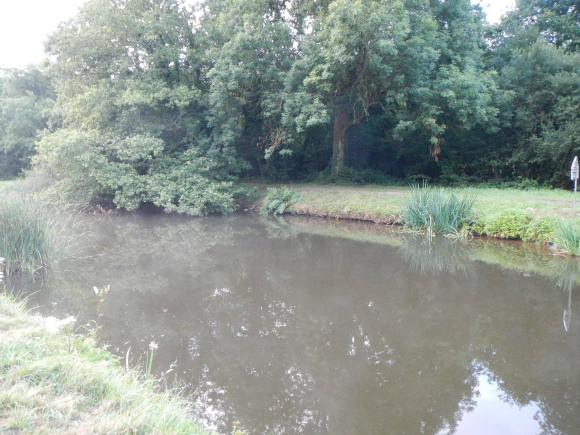 DSCN3859