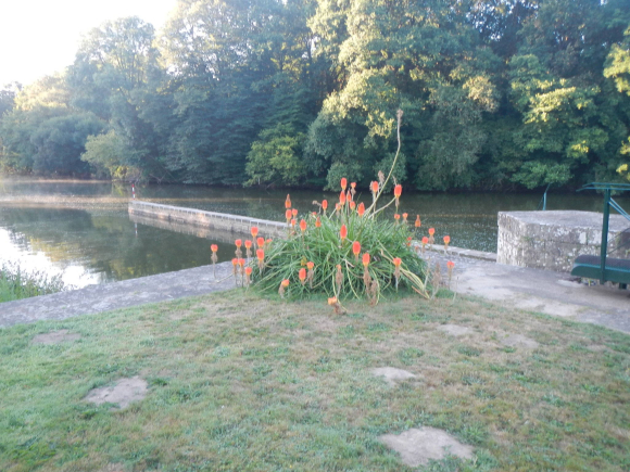 DSCN3895